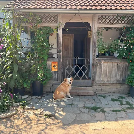 캠프장 Farmapark Calamity Jane Farm *