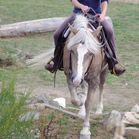Farmapark Calamity Jane Farm *